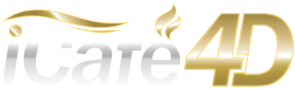 LOGO ICAFE4D